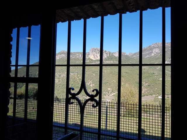 Vivienda Rural Casa Sofia Villa Ubrique Exterior photo